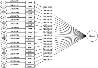 Examination of the validity of the Chinese version of the Language Mindsets Inventory among Chinese university students